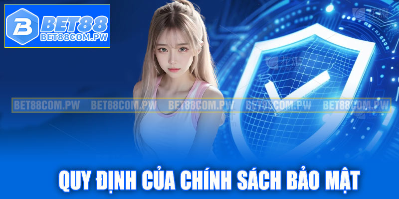 Những quy định quan trọng trong chính sách bảo mật