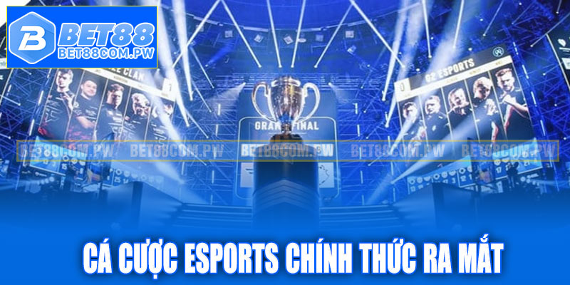 Cá cược Esports chính thức ra mắt
