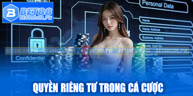 Sơ lược chính sách quyền riêng tư trên thị trường hiện nay